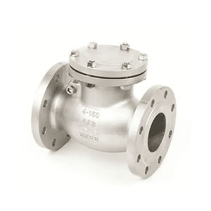 Check Valve