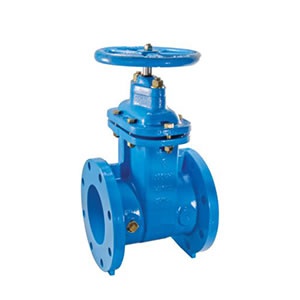 Gate Valve