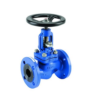 Globe Valve